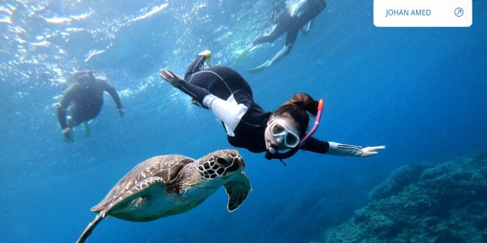 Snorkel with Turtles, Catch a Fish, and Watch the Sunrise