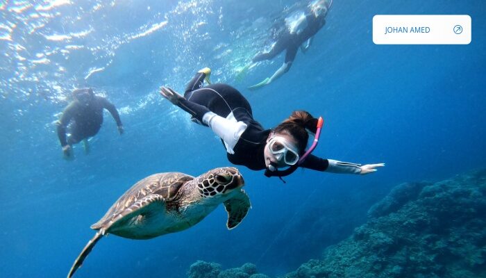 Snorkel with Turtles, Catch a Fish, and Watch the Sunrise