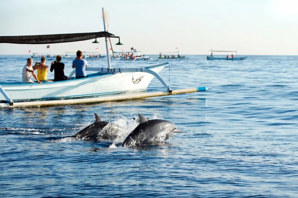 Tour Package | Daily Snorkeling
